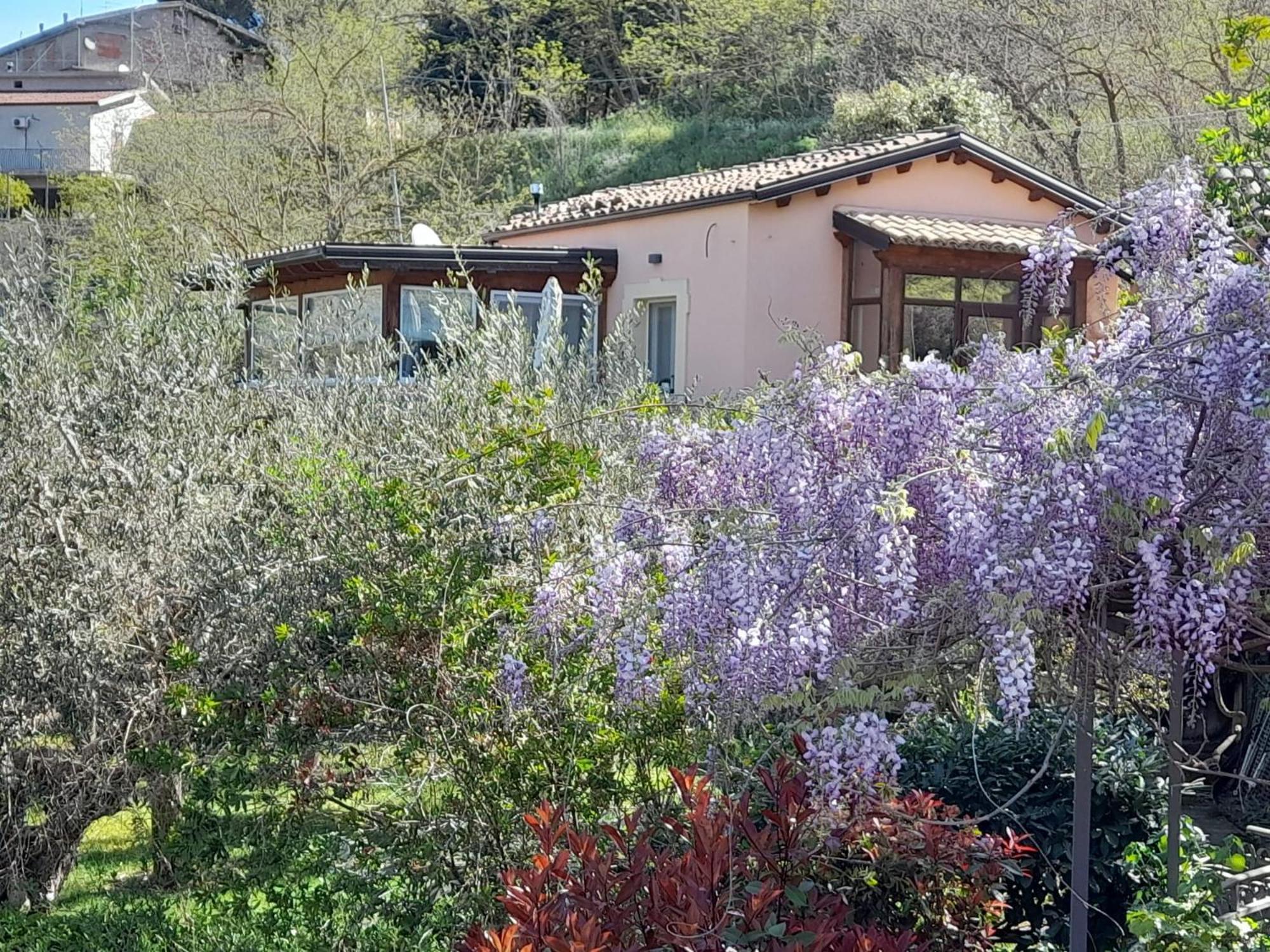 Villa Clementine Piazza Armerina Exteriér fotografie